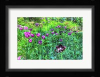 Garden Purple Tulips Fine Art Print