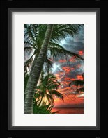 Key West Palm Sunrise Vertical Fine Art Print