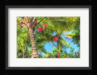 Key West Pink Flowers Palm Fine Art Print