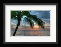Key West Sunrise One Palm Fine Art Print