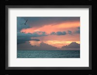Key West Sunset IV Framed Print