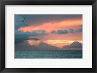 Key West Sunset IV Framed Print