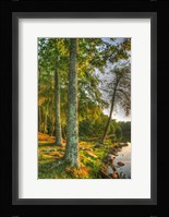 Lakeside Vertical Fine Art Print