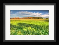 Meadow Early Autumn Fine Art Print
