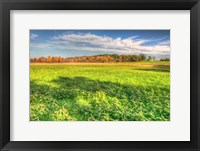 Meadow Early Autumn Fine Art Print