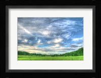 Meadow Midday Fine Art Print