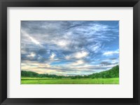 Meadow Midday Fine Art Print