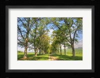 Mohonk III Fine Art Print