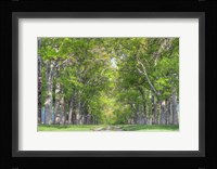 Mohonk IV Fine Art Print