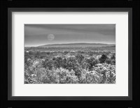 Moonrise B&W Fine Art Print