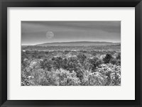 Moonrise B&W Fine Art Print