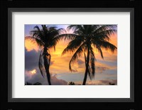 Key West Two Palm Sunrise Fine Art Print
