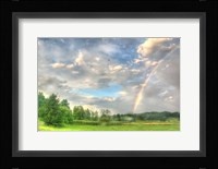 Rainbow and Heron Fine Art Print