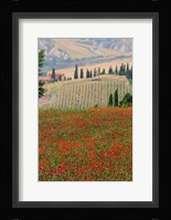Tuscan Vertical Poppies Fine Art Print