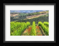 Tuscan Wine Rows Framed Print