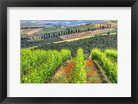 Tuscan Wine Rows Framed Print