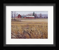 On the Farm Fine Art Print