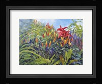 Red Blooms Fine Art Print