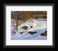 Frentner Opa Fine Art Print