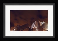 LV Brown Fine Art Print