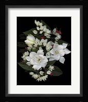 Bleeding Hearts & Gardenia Fine Art Print