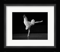 Beautiful Cock Fine Art Print