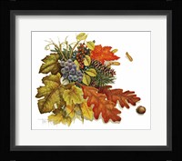 Autumn Fine Art Print