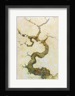 Dogwood Fine Art Print