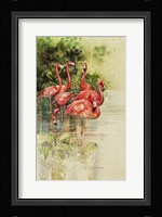 Flamingo Paper Fine Art Print