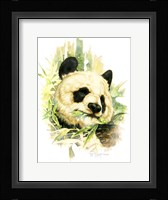 Panda Fine Art Print
