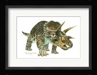 Triceratops Framed Print