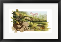 Trout Stream Fine Art Print