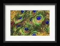 Buried Treasure I Framed Print