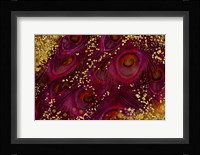 Buried Treasure II Framed Print