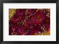 Buried Treasure II Fine Art Print