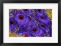 Buried Treasure III Fine Art Print