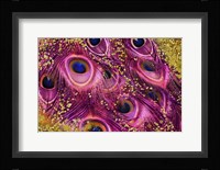 Buried Treasure V Framed Print