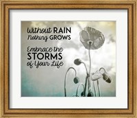 Without Rain Nothing Grows Black and White Fine Art Print