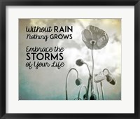 Without Rain Nothing Grows Black and White Framed Print