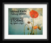 Without Rain Nothing Grows Color Fine Art Print