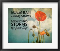 Without Rain Nothing Grows Color Framed Print
