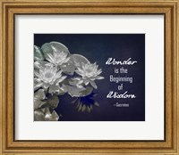 Wonder is the Beginning of Wisdom Water Lily Black and White Fine Art Print