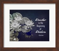 Wonder is the Beginning of Wisdom Water Lily Black and White Fine Art Print