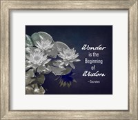 Wonder is the Beginning of Wisdom Water Lily Black and White Fine Art Print