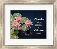 Wonder is the Beginning of Wisdom Water Lily Color Fine Art Print