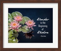 Wonder is the Beginning of Wisdom Water Lily Color Fine Art Print