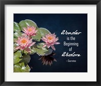 Wonder is the Beginning of Wisdom Water Lily Color Fine Art Print