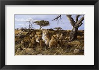 Lazy in the Grass Fine Art Print