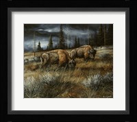 Wet and Stormy Fine Art Print