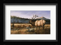 September Royal Fine Art Print